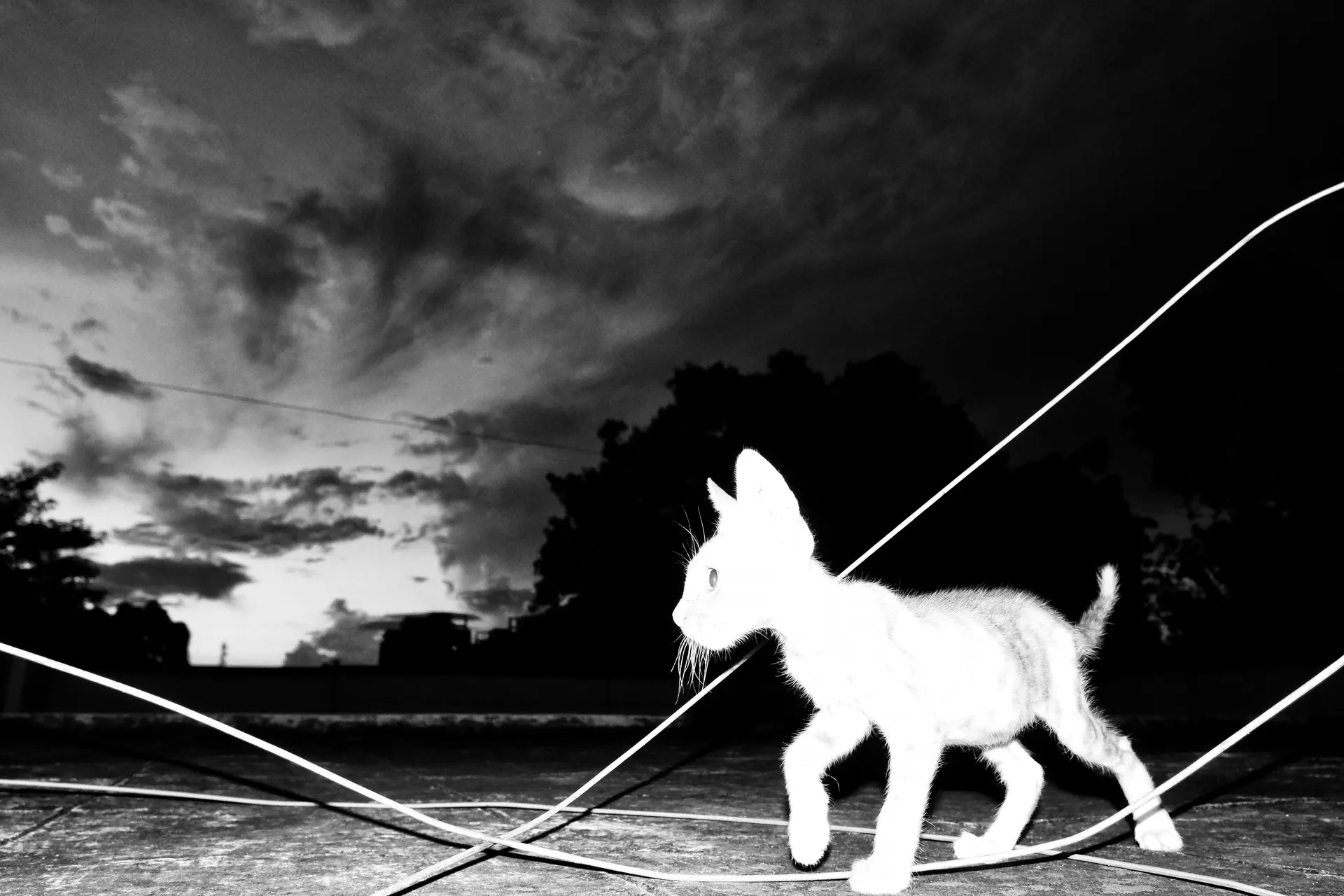 Street Photography Black & White 20